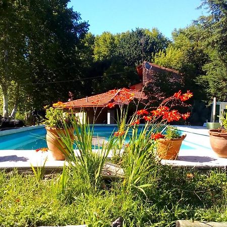 Cabanas Los Platanos La Granja Exterior foto