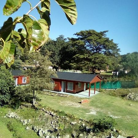Cabanas Los Platanos La Granja Exterior foto