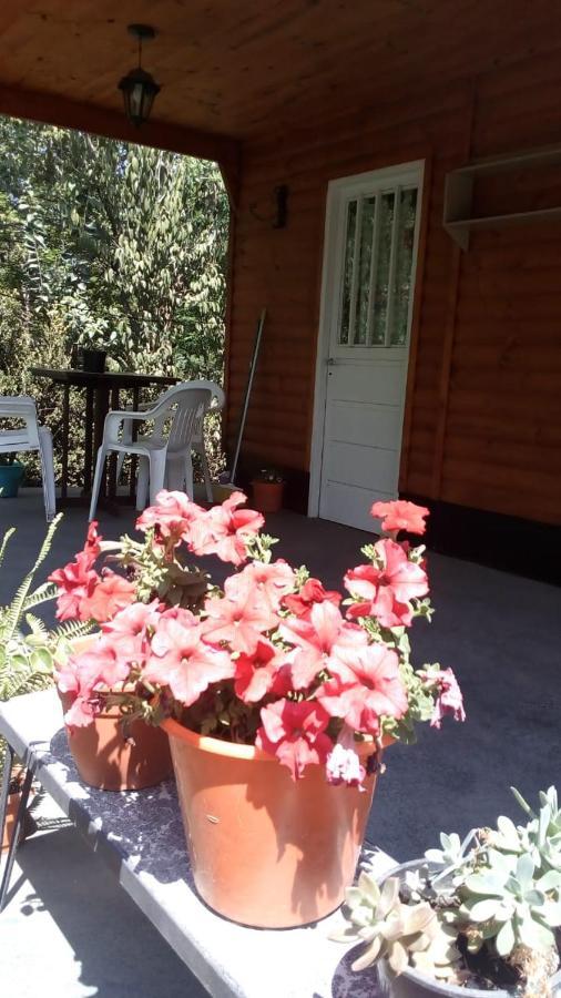 Cabanas Los Platanos La Granja Exterior foto