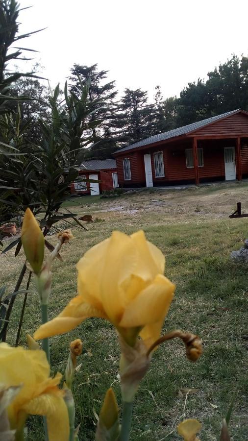 Cabanas Los Platanos La Granja Exterior foto