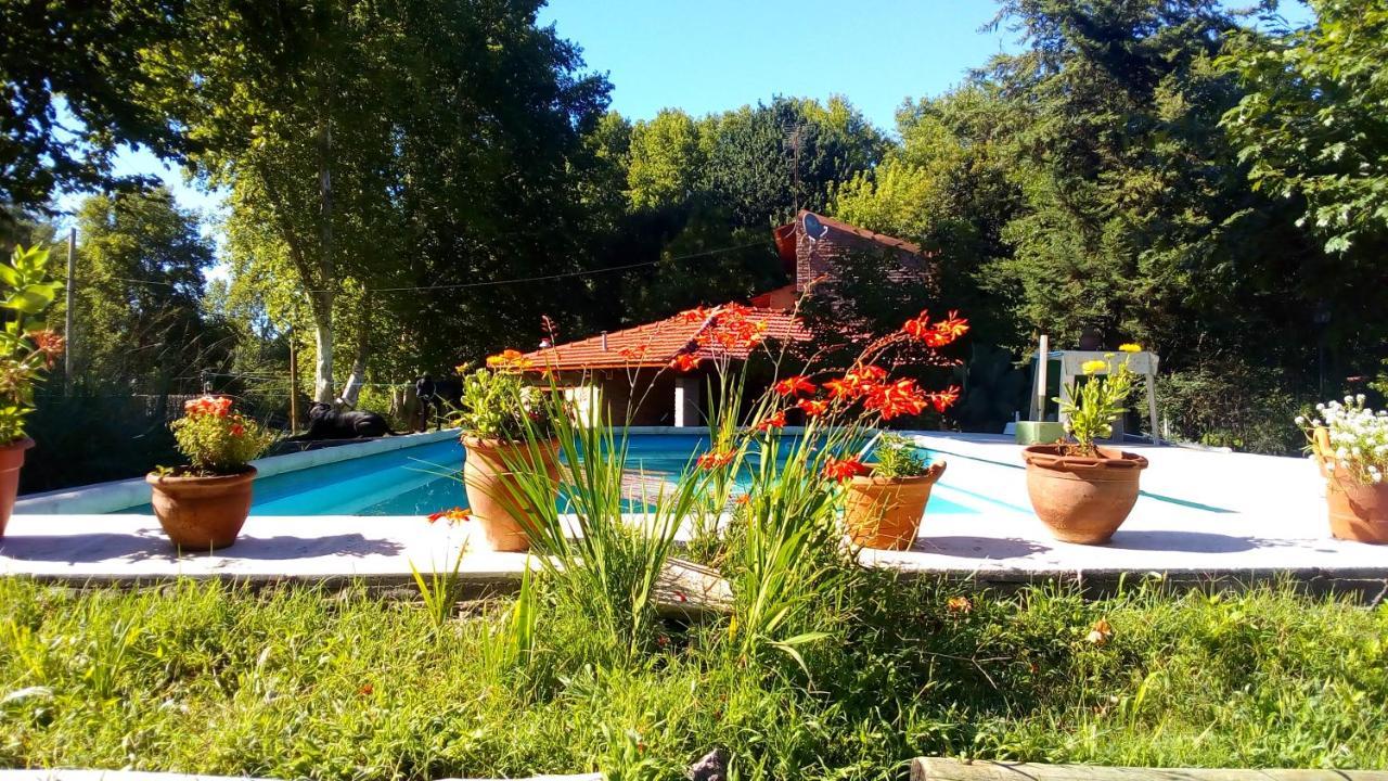 Cabanas Los Platanos La Granja Exterior foto