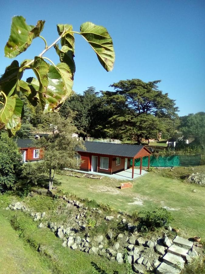 Cabanas Los Platanos La Granja Exterior foto